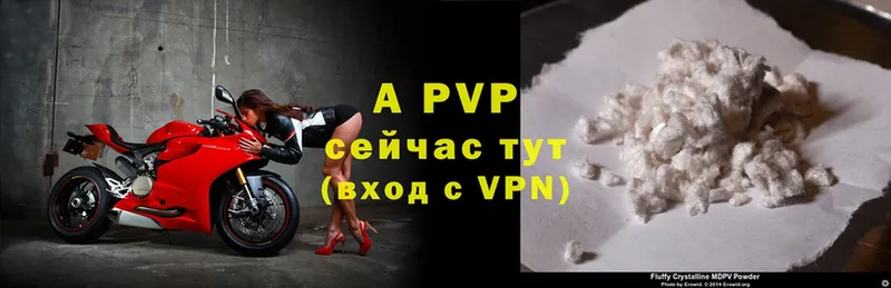 дарнет шоп  дарк нет Telegram  Alpha PVP крисы CK  Выкса 