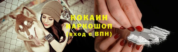 тгк Пестово