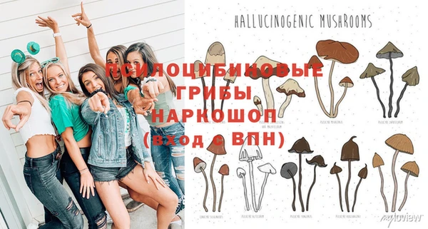 амф Верея