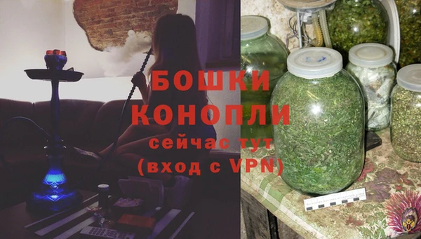 сатива Володарск