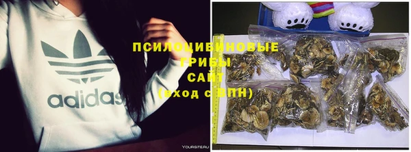 амф Верея