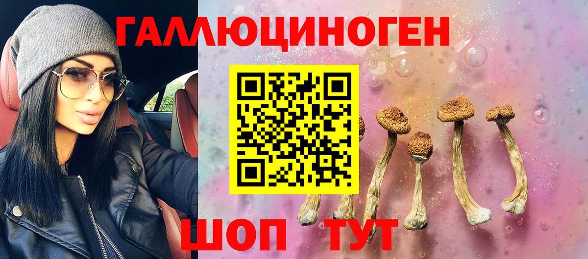 Псилоцибиновые грибы Cubensis  Вход с VPN  Псилоцибиновые грибы GOLDEN TEACHER  Выкса 
