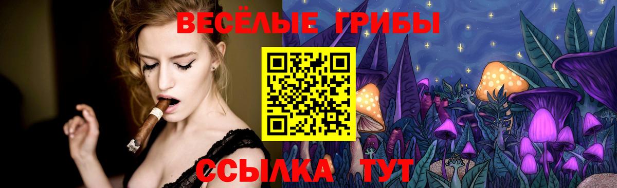 Псилоцибиновые грибы Psilocybe  Выкса 