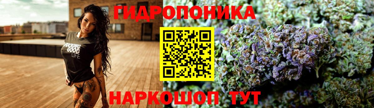 Шишки марихуана гибрид Выкса